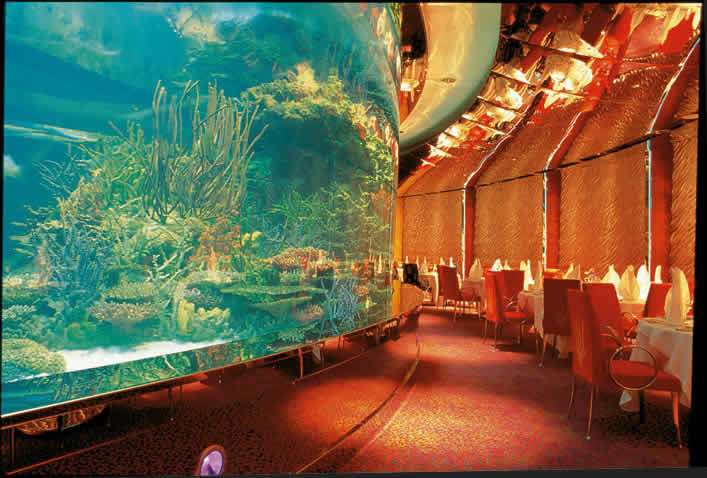Underwater Bar.  Houses over 220 different varieties of saltwater fish including many rare species
