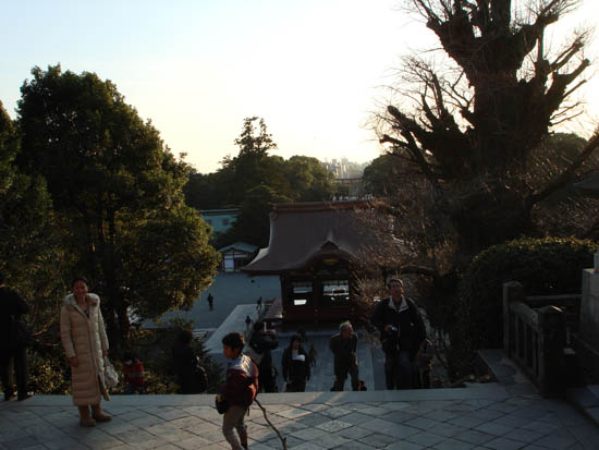 DSC00177