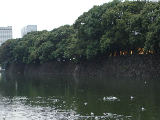 DSC00245