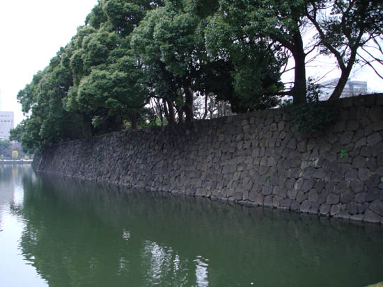 DSC00246
