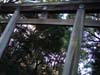 DSC00109